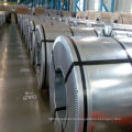 JIS G3103 SB46 Carbon Hot Colled Steel Coil